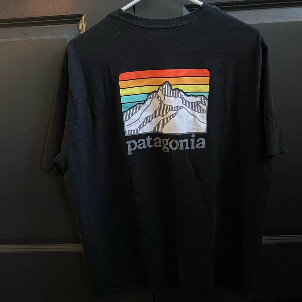 Barely worn Patagonia Line Logo Ridge Pocket Tee in size mens large